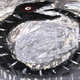 Illustration for article titled Végesincs mese